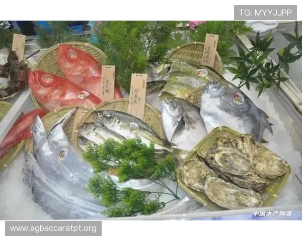博鱼真人在线娱乐体验全攻略，全面解析游戏规则与最佳操作策略